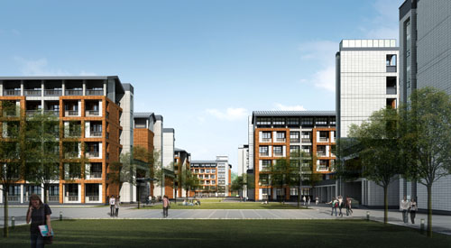 ����鿴��