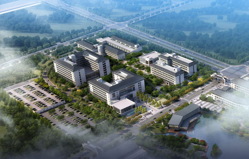 ����鿴��