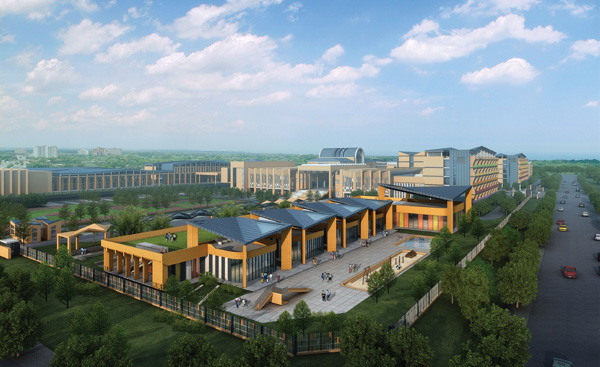 ����鿴��